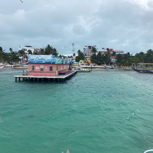 Meet your Posher, Cas - Picture 4 of 4